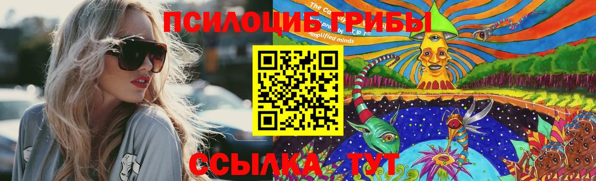 Галлюциногенные грибы мухоморы  Псилоцибиновые грибы прущие грибы  Вход с VPN  Гатчина 
